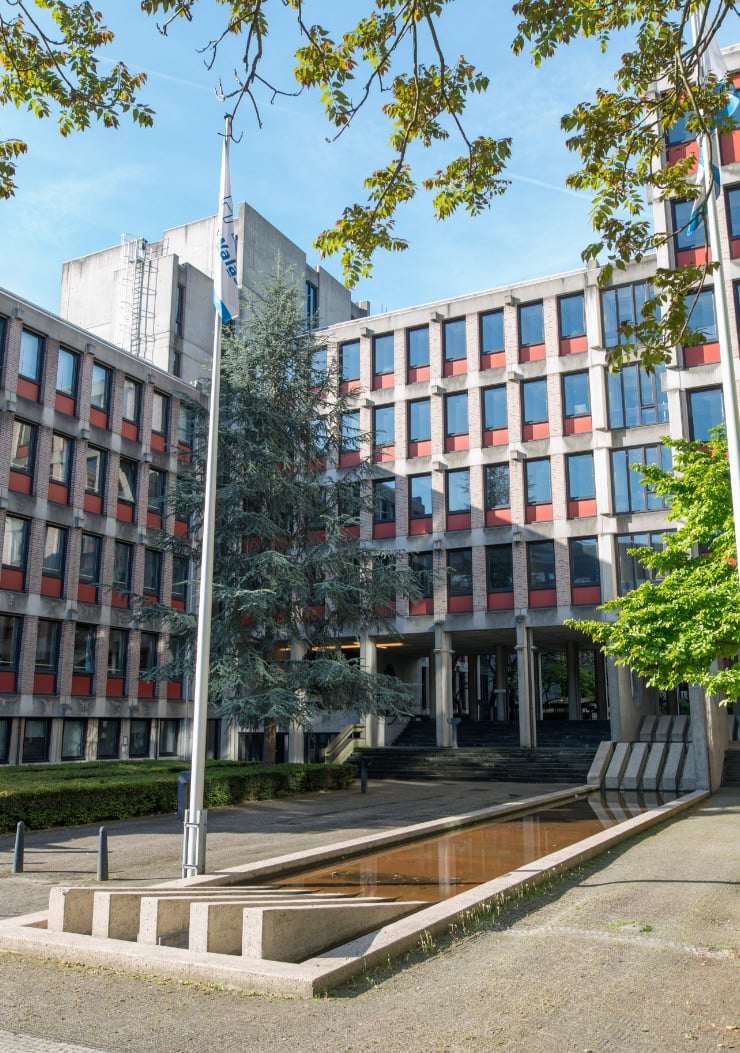 Snellink Digital Design heeft een doordachte online ervaring opgebouwd voor Carbon6